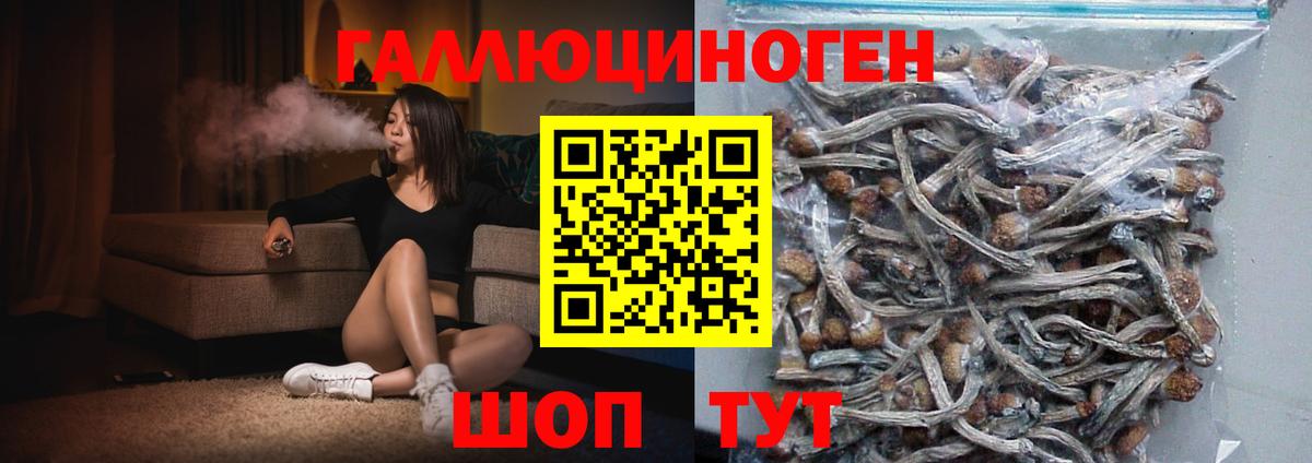Красноуфимск  Галлюциногенные грибы Magic Shrooms  Вход с VPN 